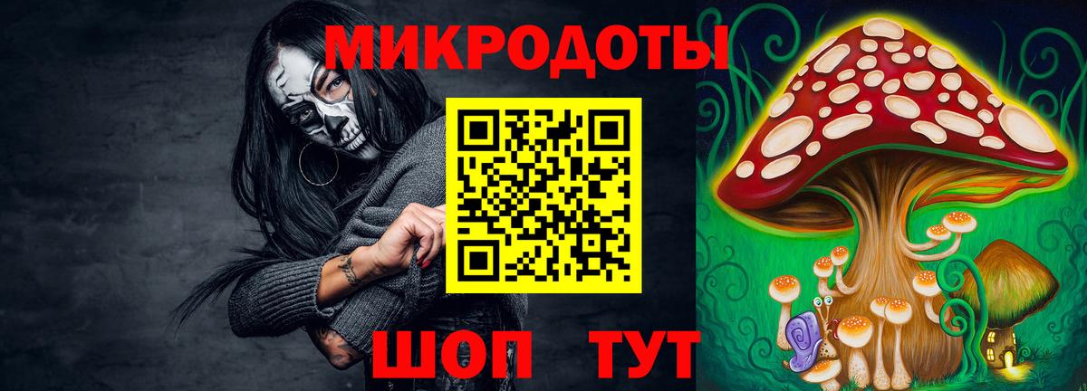 Галлюциногенные грибы ЛСД  Галлюциногенные грибы Psilocybe  Шелехов  купить  цена  Вход с VPN 